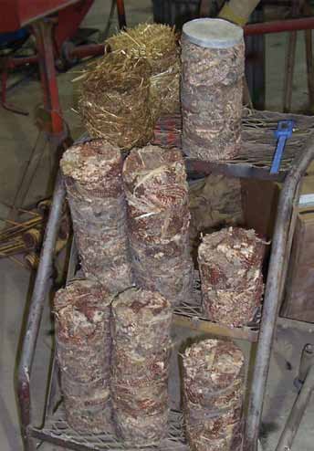 Corn cobs compressed into tubes before being cut into tablets.