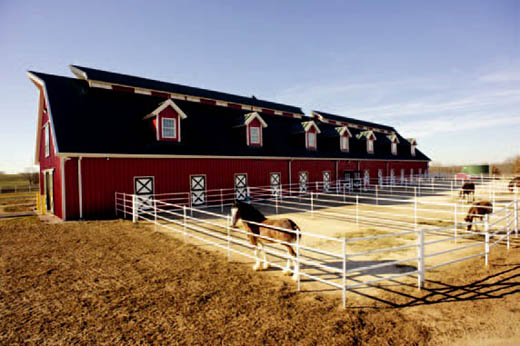 For the 360-acre Anheuser-Busch Clydesdale Breeding Farm, Coil constructed seven shelter buildings, a hay barn and a stable/breeding barn with 34 custom fabricated horse stalls.