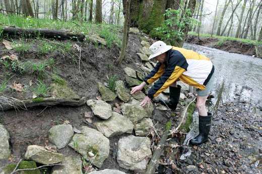 Ben Londeree moves rocks into place for one of his bank stabilization projects along the County House Branch Creek that lows into the Hinkson Creek.