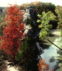 Pinnacles Youth Park (Outdoor Adventure)3