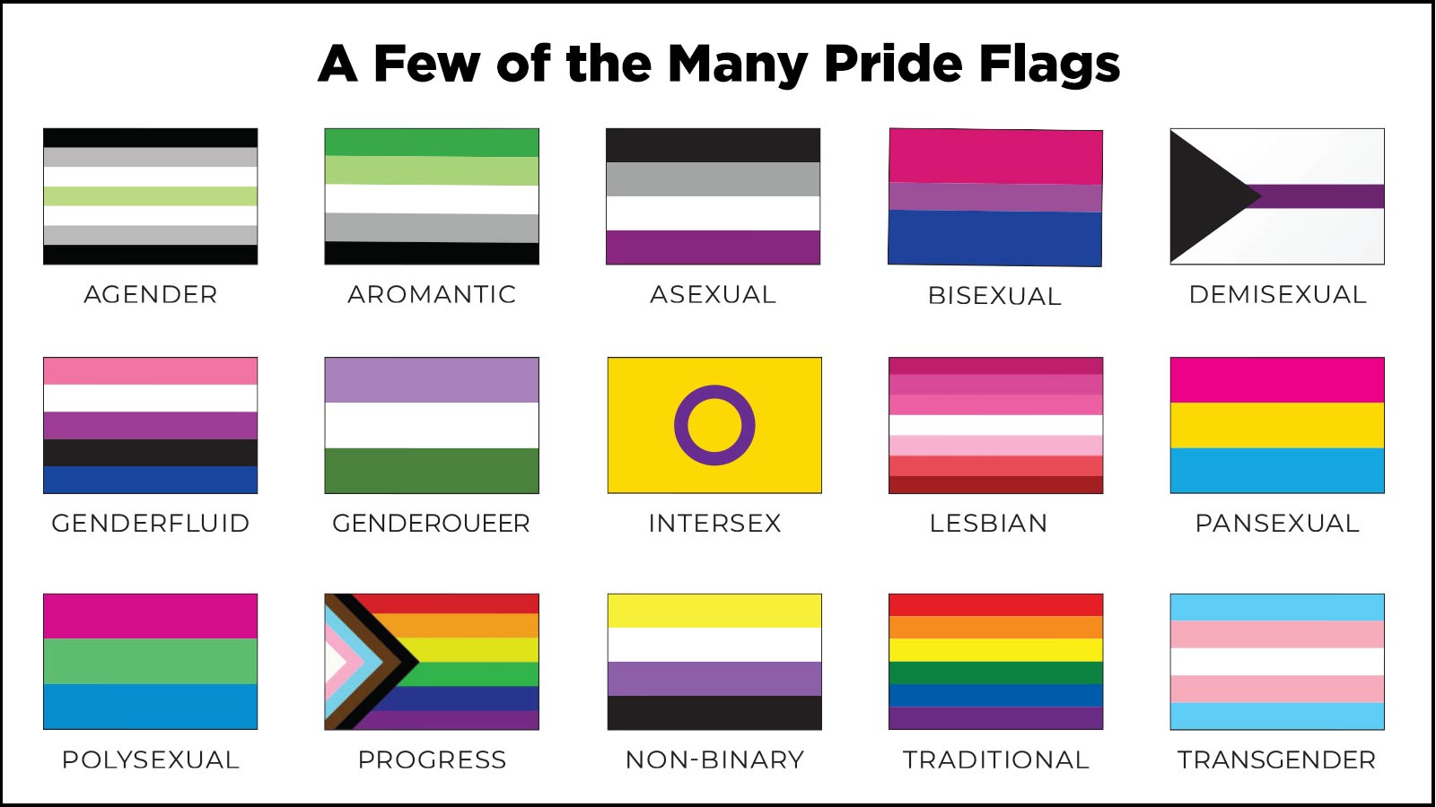 A few of the many Pride Flags, including Agender, Aromantic, Asexual, Bisexual, Demisexual, Genderfluid, Genderoueer, Intersex, Lesbian, Pansexual, Polysexual, Progress, Non-Binary, Traditional, and Transgender