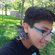 Josiah Jainchill with his rescued robin