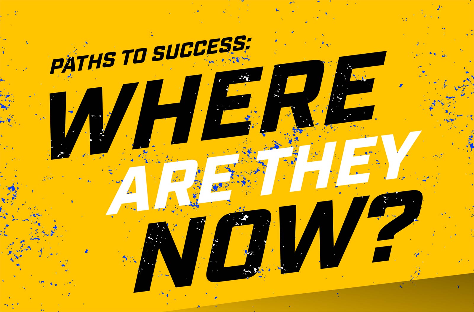 Paths to Success: Where are they now?