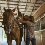 a horse's lead rope tied to a stall door and a women laying a saddle on the horses back