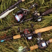 a collection of four different fishing poles laid against long grass