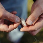 close up shot of a man placing fake plastic bait onto a fishing hook