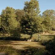 A man fishing in a pond surronded by trees and grasses