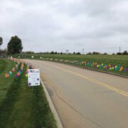 a side of a street with several rows of fake flowers on either side to represent charity alzhemiers promises