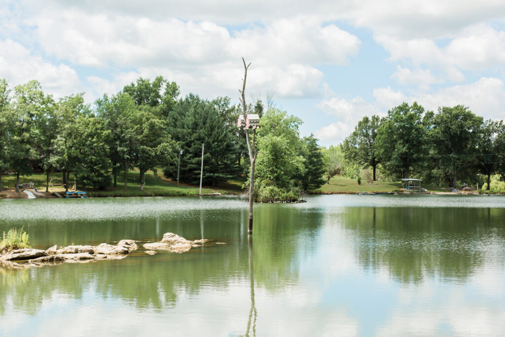 a large pond surrounded by trees