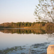 lake side view from Finger Lakes Park at dusk