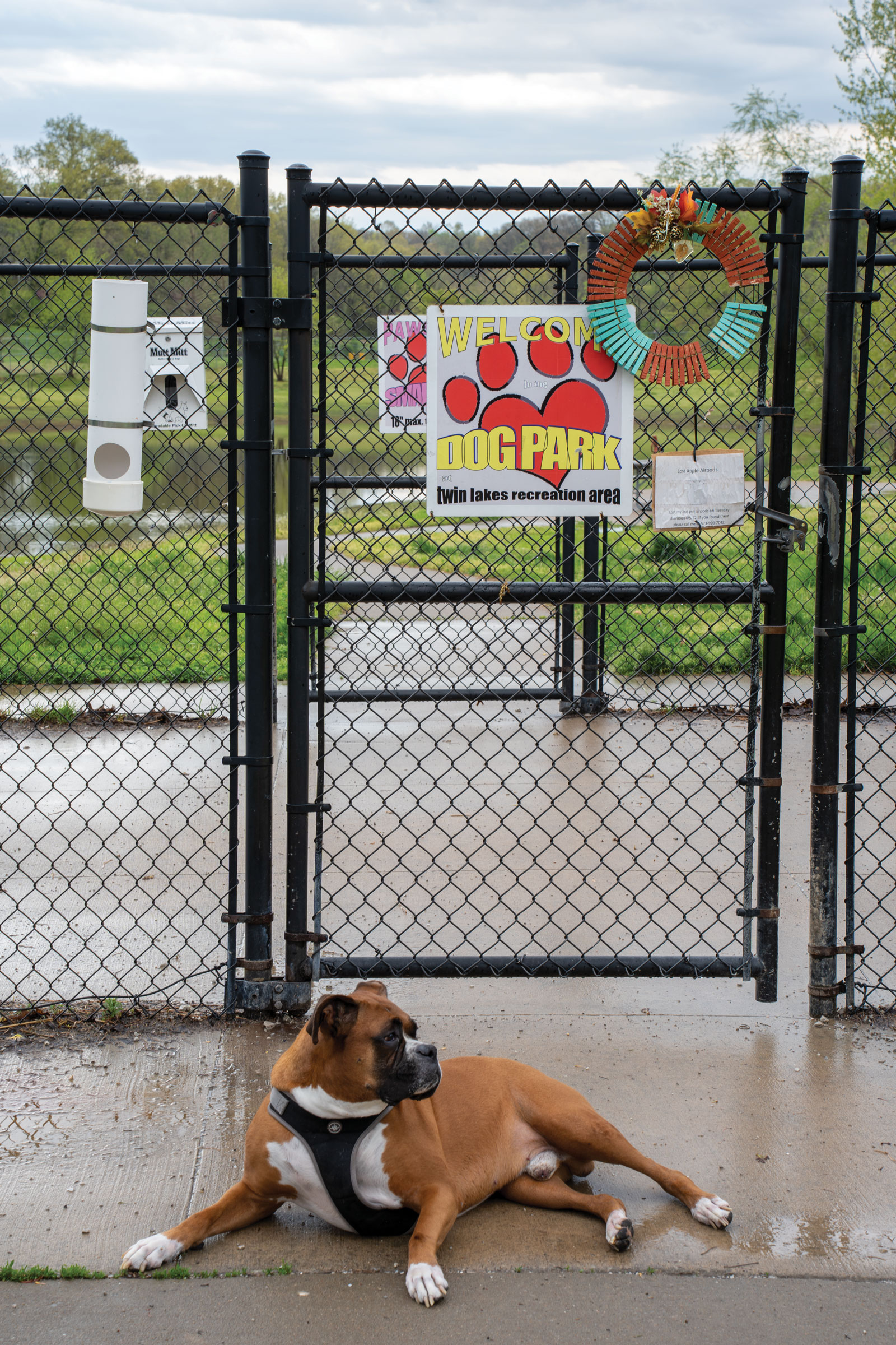 Twin Lakes Recreation Area Dog Park