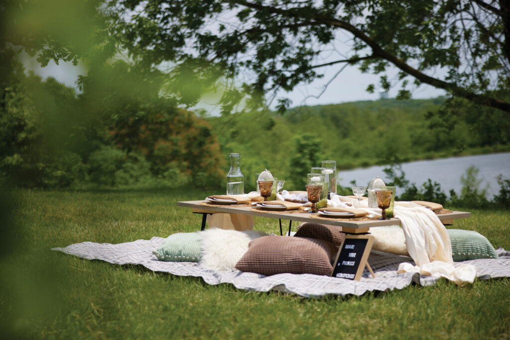 outdoor picnic on a rug alongside a lake