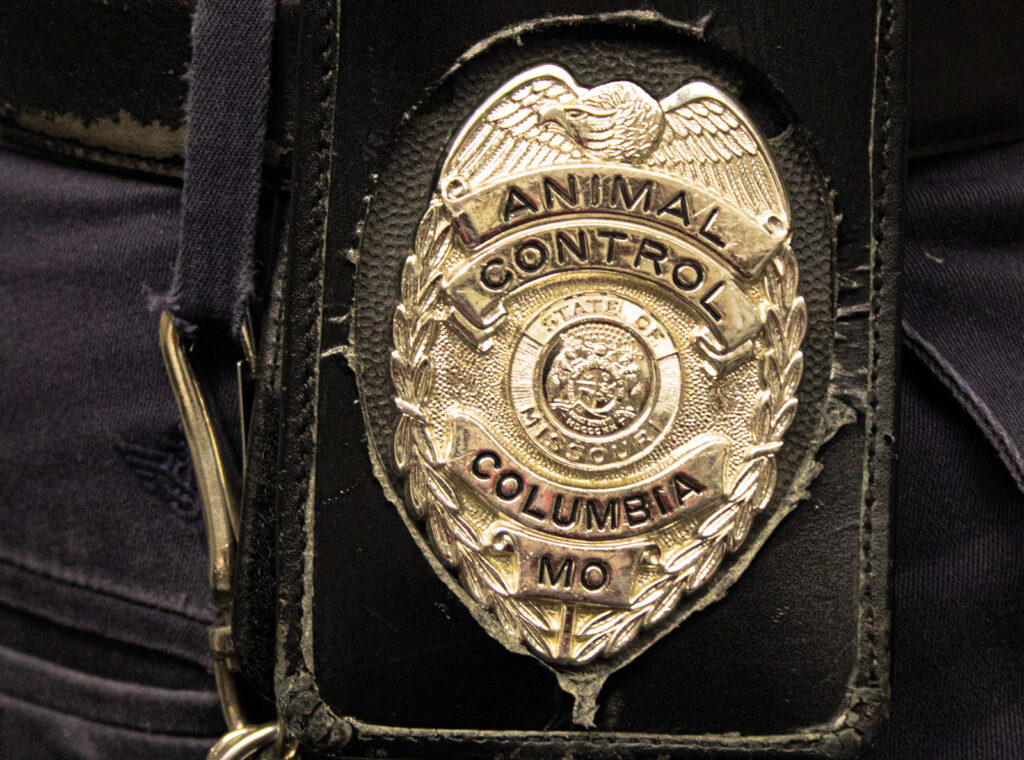 close up shot of a badge belonging to animal control in Columbia, Missouri