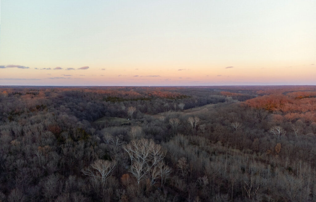 drone shot of a forest which is the site of a Mizzou outdoor lab at sunset