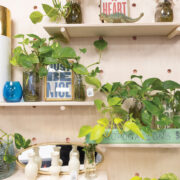 view of decorated shelves with plant propagation jars