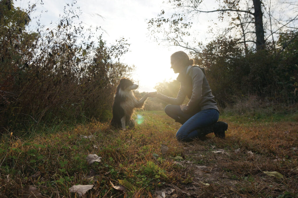 Robin Diebold, the headmaster and owner of Dogwarts, shaking a dogs paw at sunset in a field