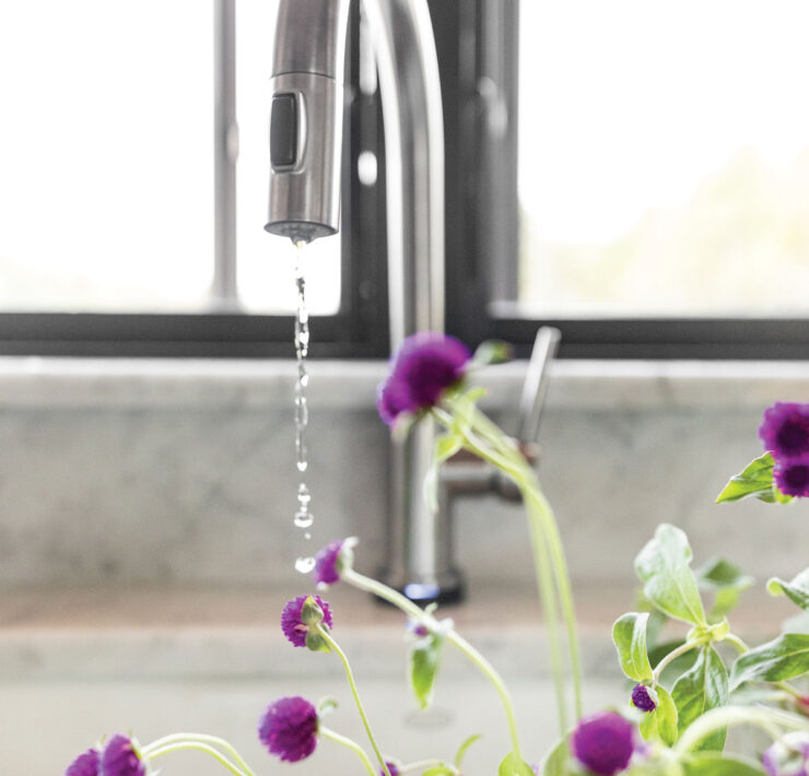 Close Up Of Kitching Faucet With Purple Flowers In Sink