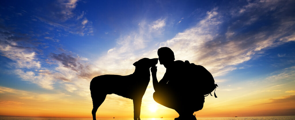 The Boy With A Dog silhouettes against a fading sunset