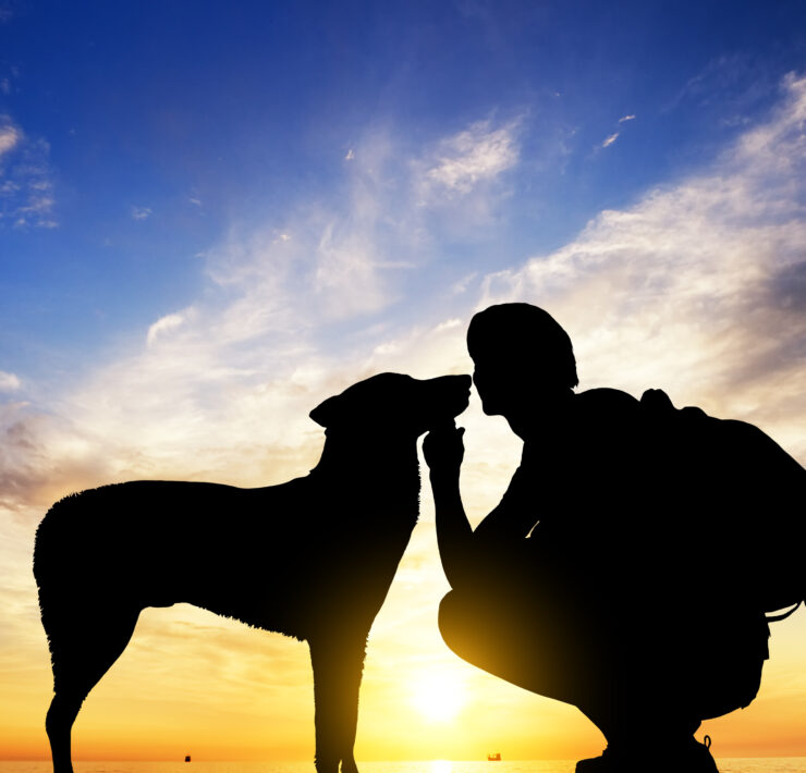 The Boy With A Dog