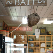 Pierpont General Store Bait Sign Bees Nest