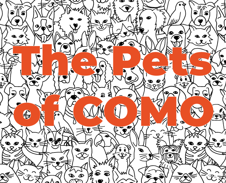 The Pets of COMO