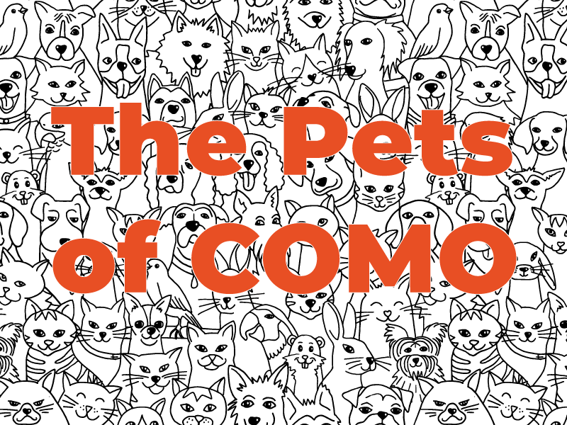 The Pets of COMO