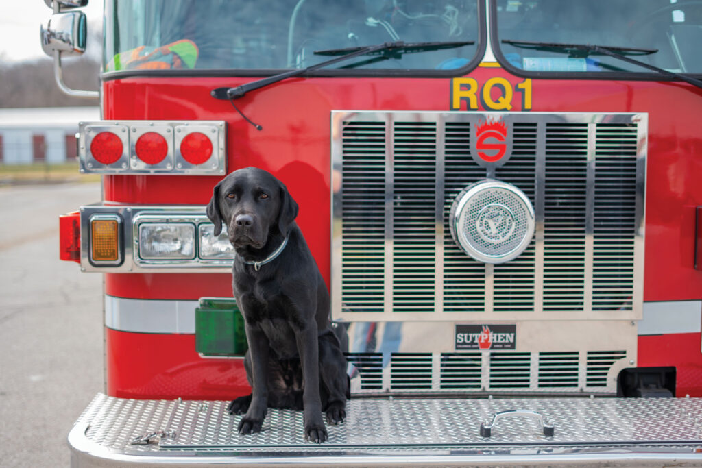 Tony the K 9 Accelerant Detection Dog next to a firetruck