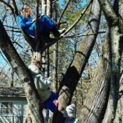 Children reading in a tree