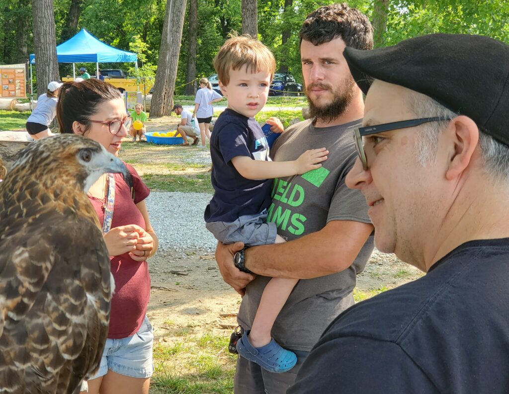 Chuck Parzych, a volunteer with the MU Raptor Rehabilitation Project, shows a red-tailed hawk to the Brittany and Matt Copeland, and their son, Elias, of Columbia.