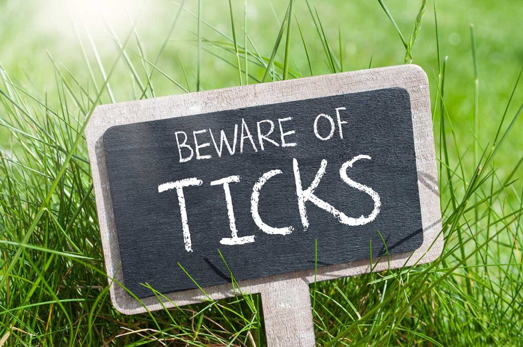 A chalkboard sign that says beware of ticks among tall green grass, illustrating a story about how to avoid getting bitten by a tick.