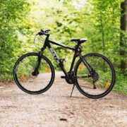 Image of an all-terrain bicycle on a dirt trail with sunlit trees on either side.