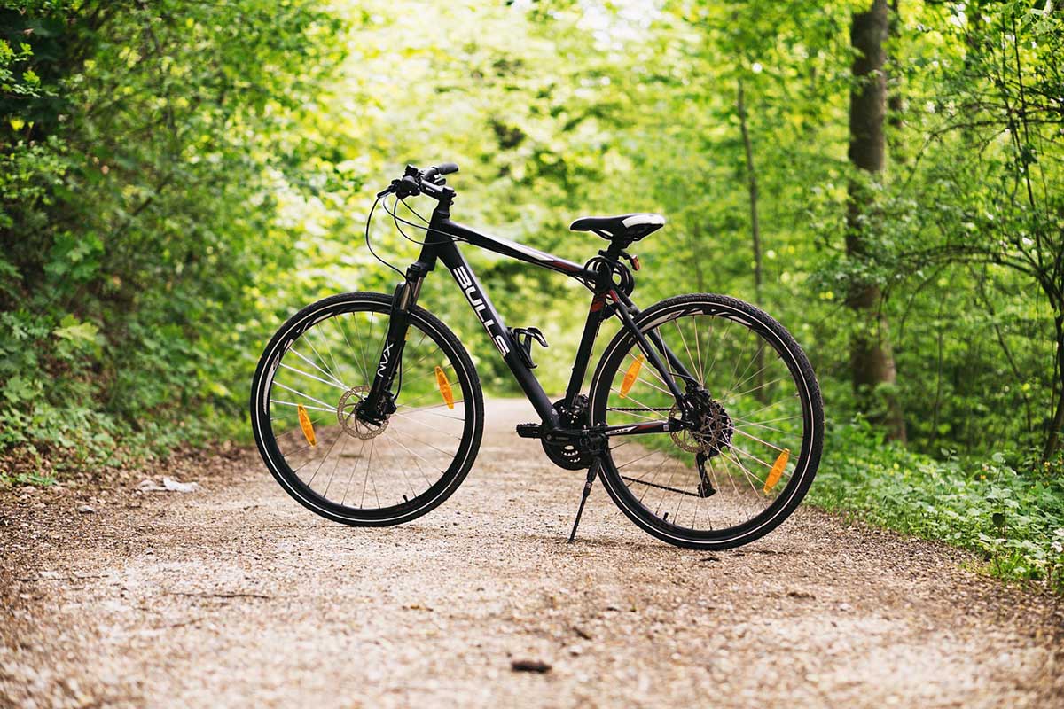 Image of an all-terrain bicycle on a dirt trail with sunlit trees on either side.