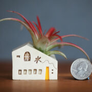 Snowpond Ceramics Quarter Air Plant