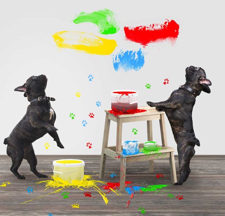 Two black pug dogs stand on their hindquarters oin front of a white wall with artwork and painted pawprints.