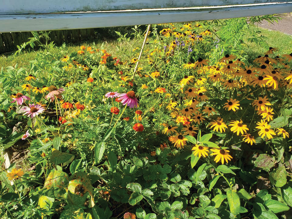 Allison Vaughn - Daycare Garden