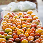 Columbia Farmers Market Tomatos Of Every Shade