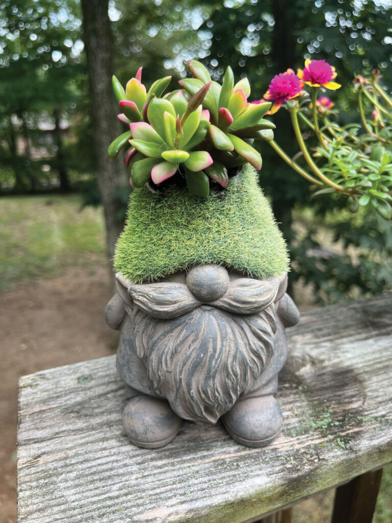 Erica Pefferman's of gnome success - gray stone feet sticking out from a floor-touching-beard and moustache, a green moss covered hat that blends into lush green succulents blooming out of the hat. 