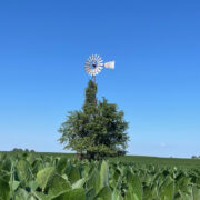 Schupp Farms Windmill