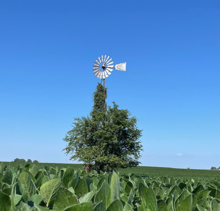 Schupp Farms Windmill