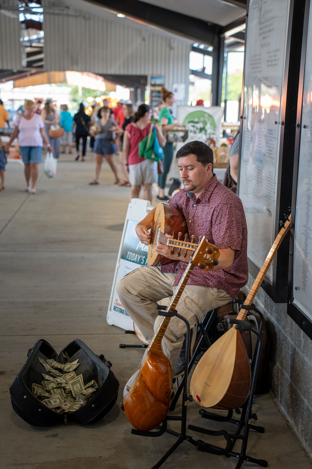 Live Music Mandolin Player Columbia Farmers Market