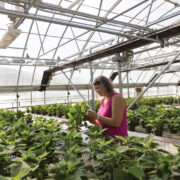 Michelle Brooks Inspecting Plants Mu Greenhouse