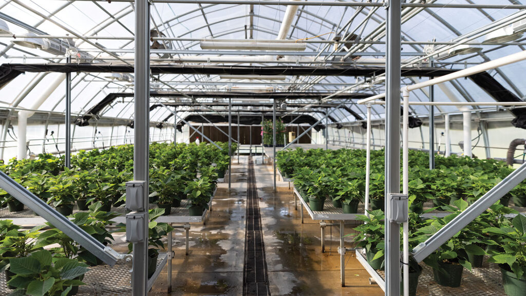 view inside the Mizzou Greenhouse