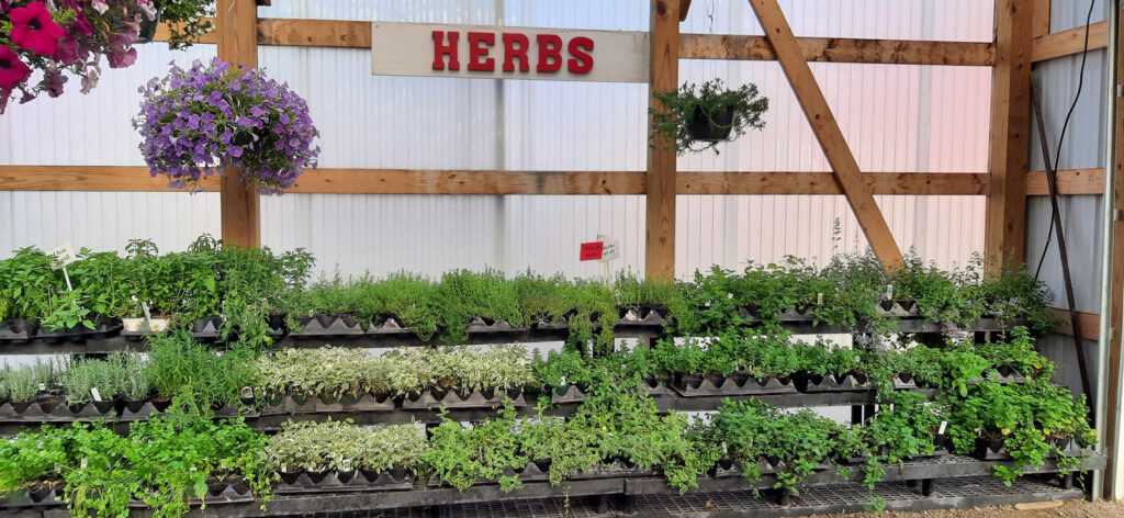 Strawberry Hill Farms Herbs