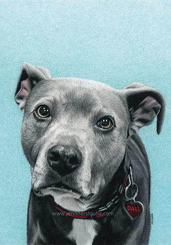Dali Original Pet Portrait Artwork By Jennifer Slouha