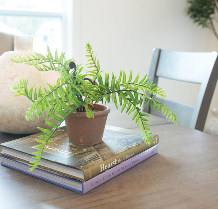 Dining table with books and plant as decorative details