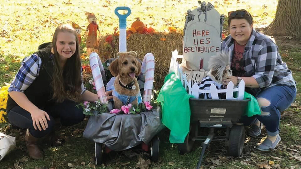 Dogs and their owners participating in a Halloween costume contest.