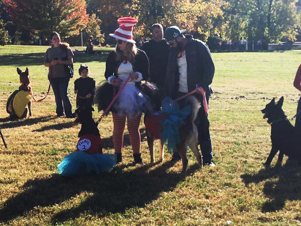 Participants in Paws 4 A Cause Halloween costume contest