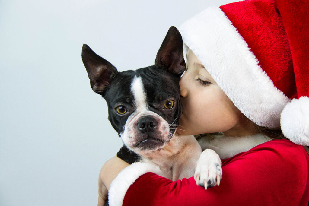 Gettyimages 465407075 of a child in a santa outfit and hat holding and kissing a dog