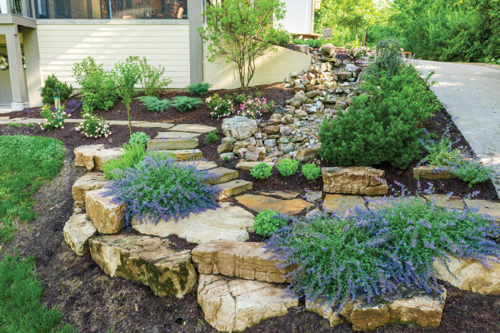 Drought resistant plants by Rost Landscaping