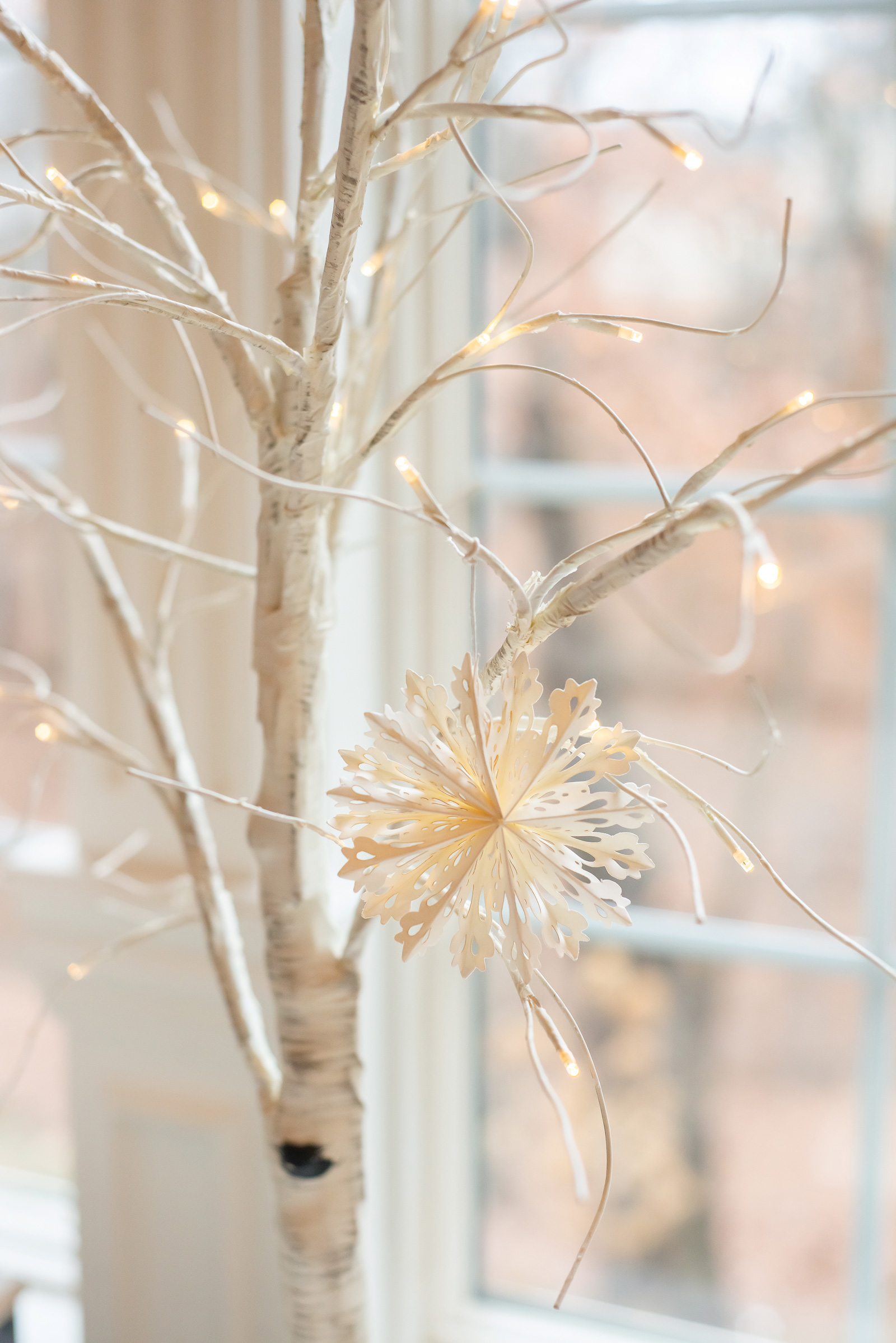 Intricate paper ornament hangs from illuminated white birch tree